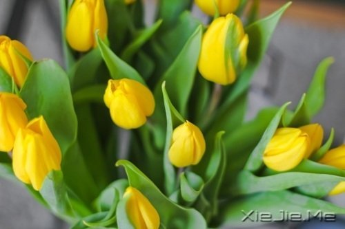 很多道理我们都是心知道,却做不到 (6)